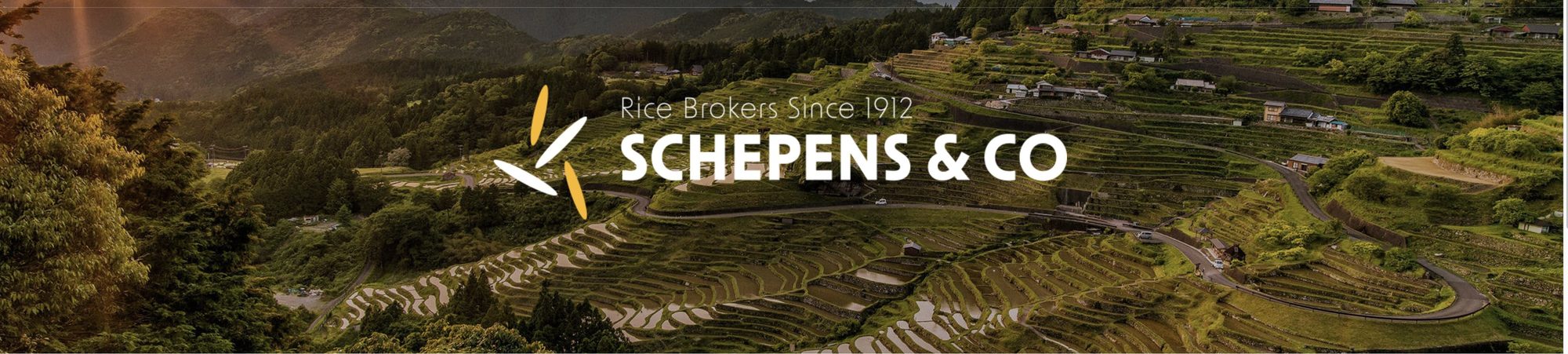 Rice terraces with the Schepens & Co mark: rice brokers since 1912