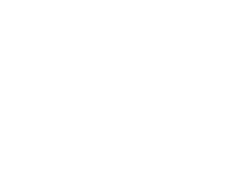 SCHEPENS & CO